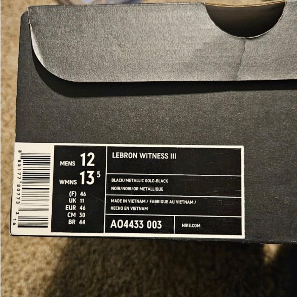 Lebron witness III